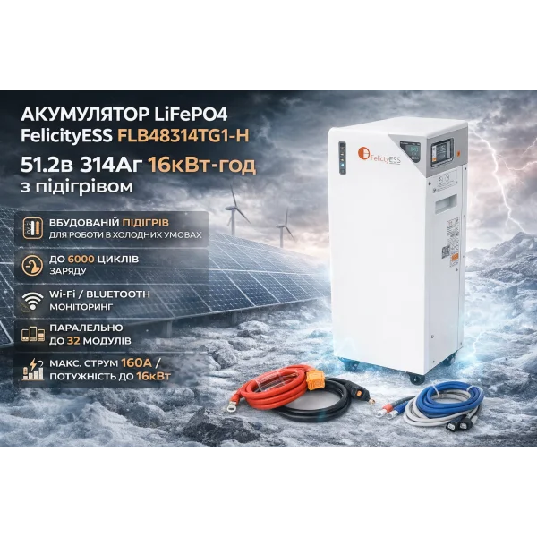 Літієва акумуляторна батарея FelicityESS FLB48314TG1-H 51.2В 314Аг 16кВт·год з підігрівом