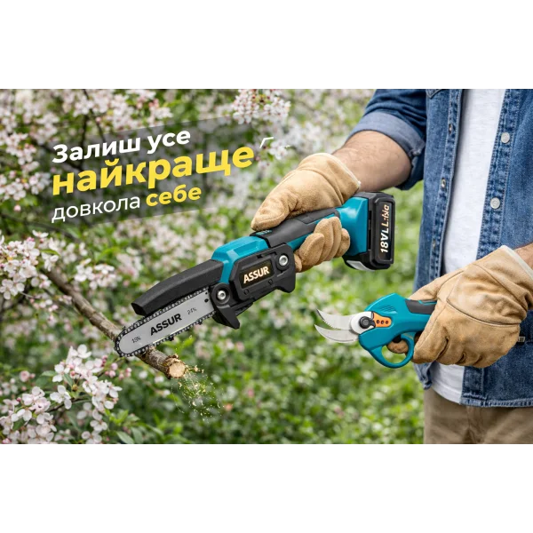 Акумуляторна міні-пила ASSUR ASR1013 18V (4"/6", з секатором, кейс)