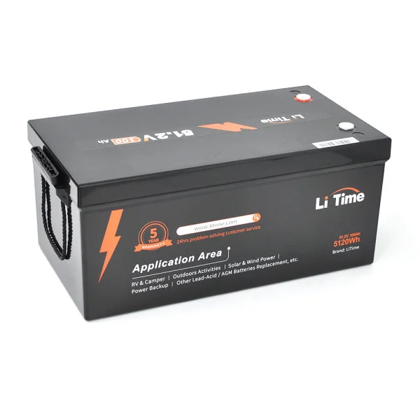 Аккумулятор Li-Time LiFePO4 Basic 51,2В 100Ач (5120 Вт·ч) BMS 100А