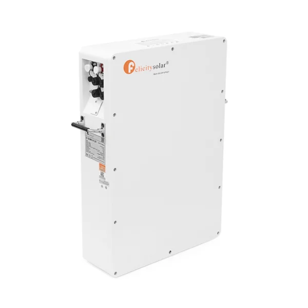 Акумуляторна батарея FelicityESS LPBA48100-OL LiFePO4 51.2V 100Ah 5.12kWh IP65