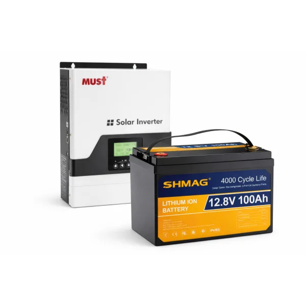 Набор: Инвертор MUST 1000Вт + LiFePO4 акумулятор 12.8V 100Ah